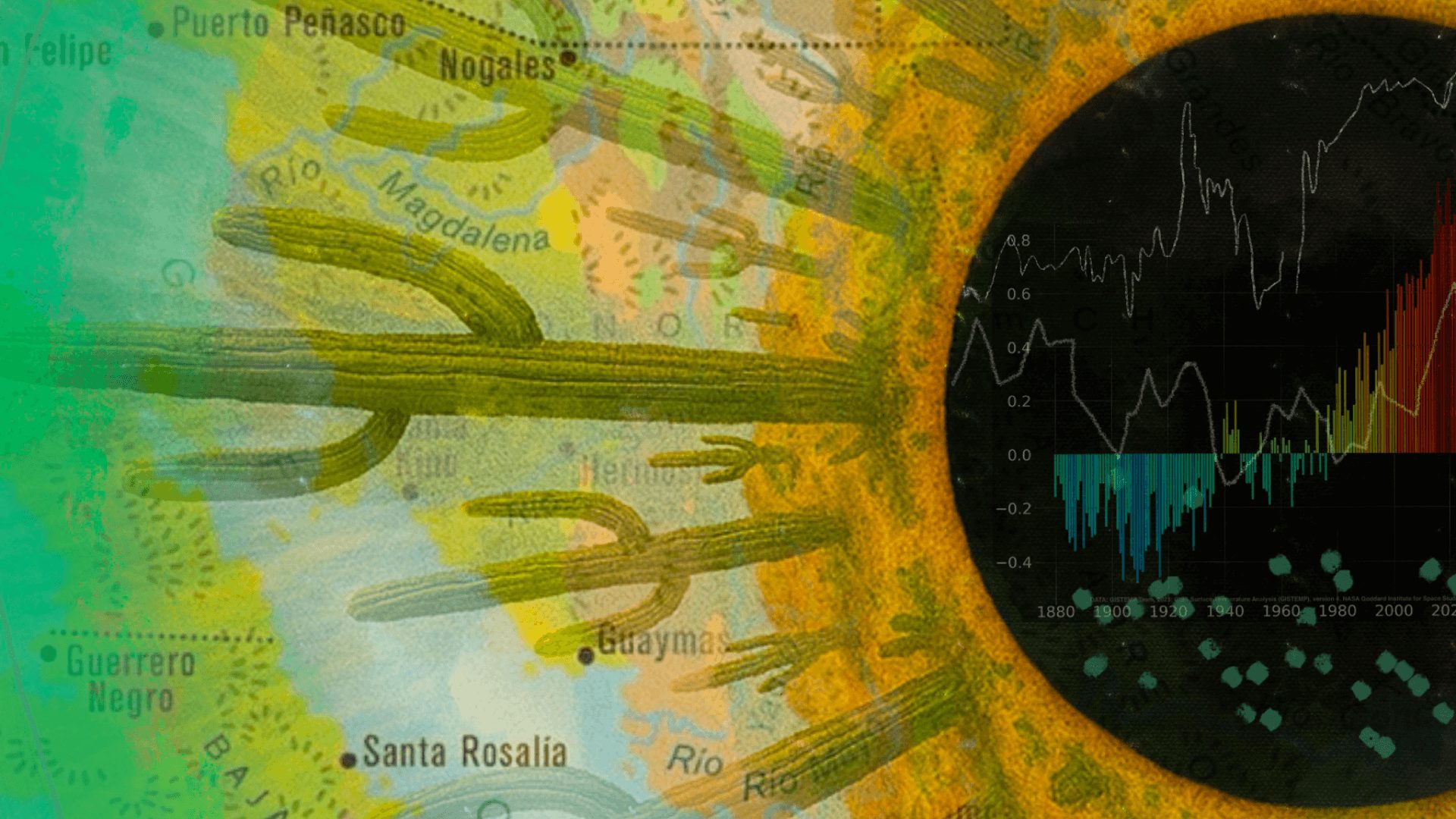 The Climate Project