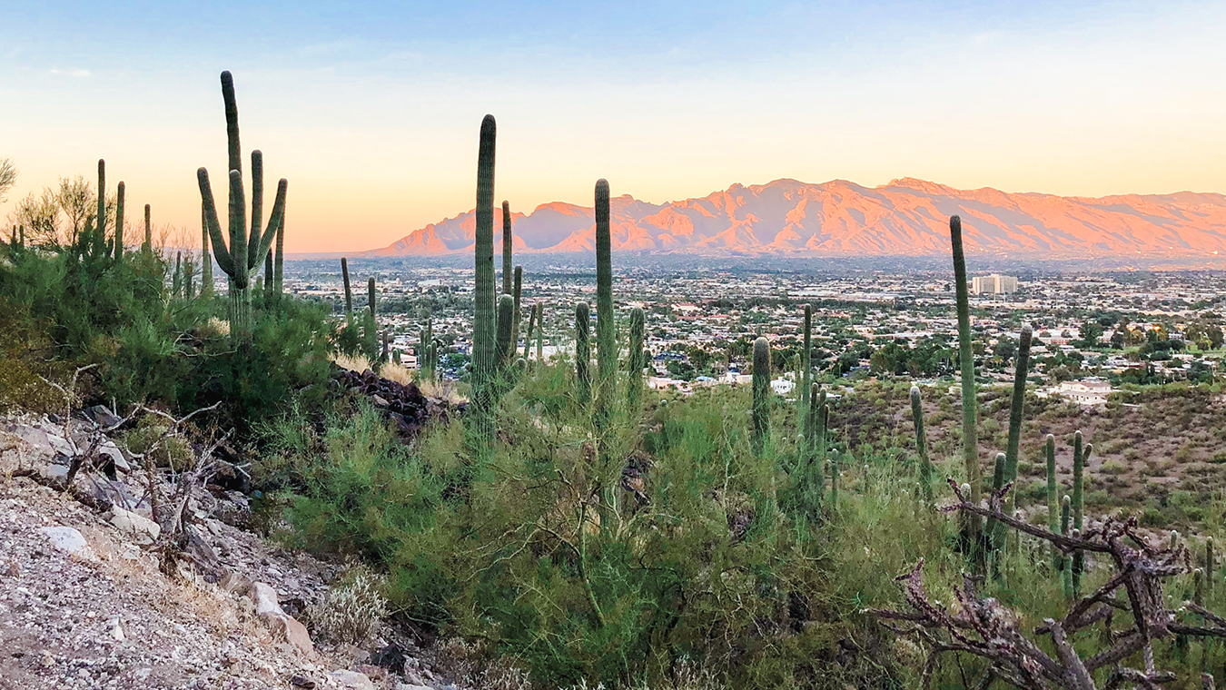 Music faculty join global research effort with France-Arizona
