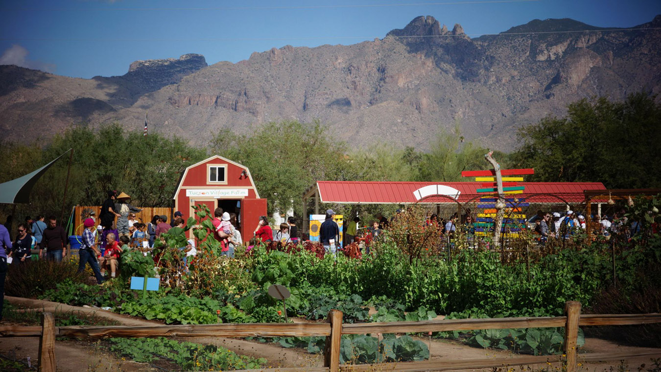 Artist alumna grows into a farmer