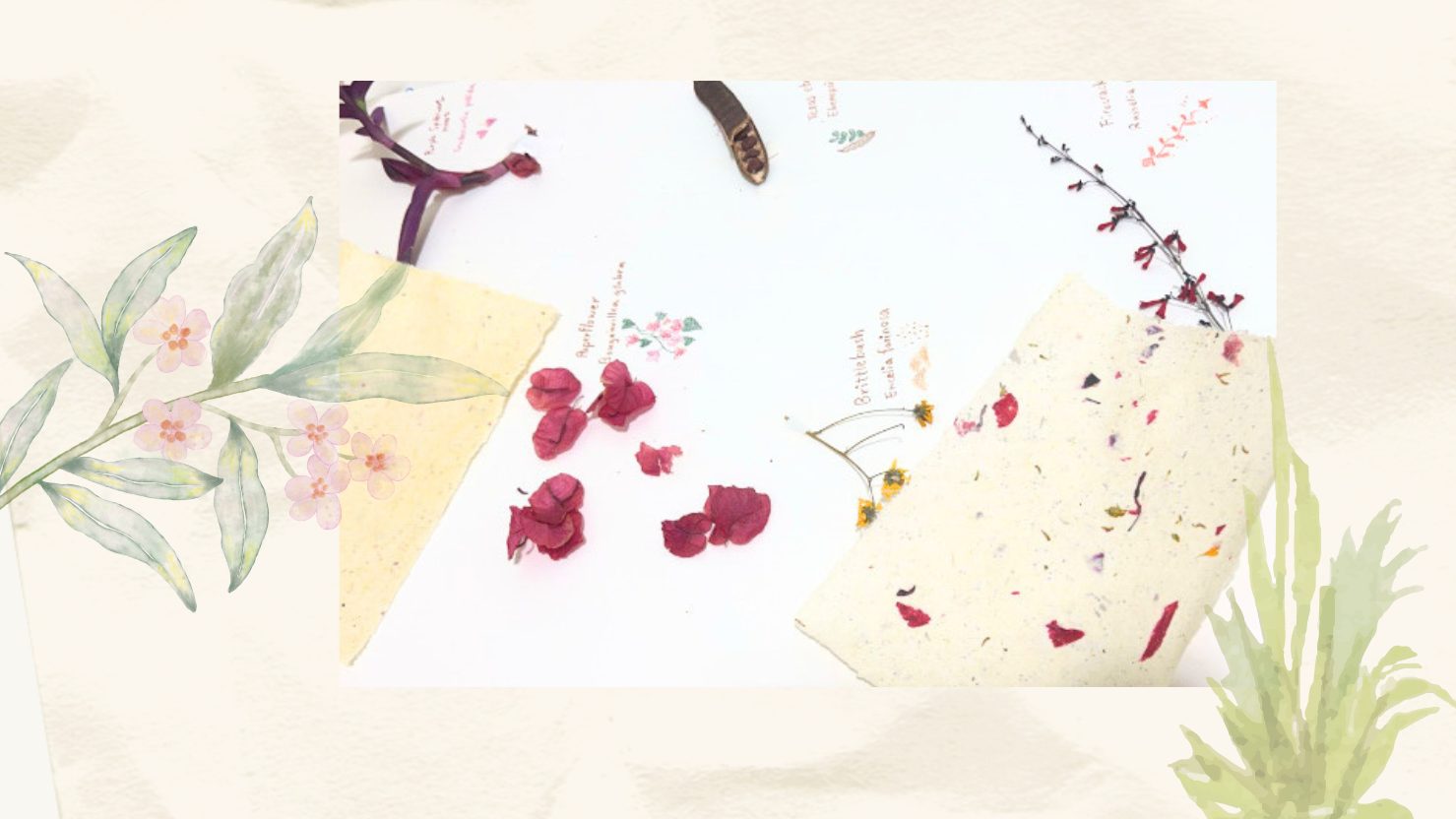 More-than-Human Dialogue